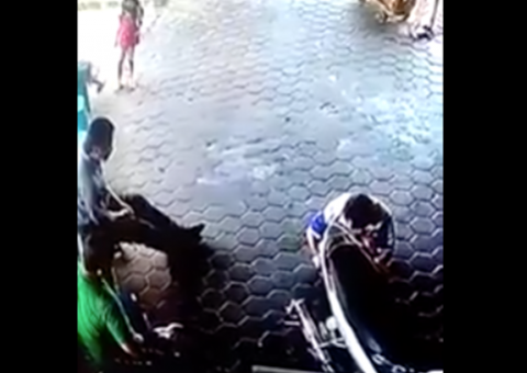 'Milagre' salva crianças de serem atropeladas em grave acidente de carro