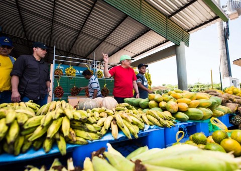 Governo desenvolve nova Matriz Econômica Ambiental  