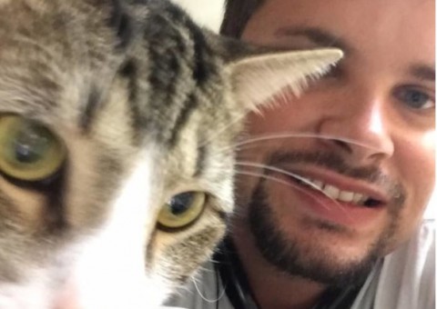 Gato raivoso ataca dono no natal e vídeo viraliza na web