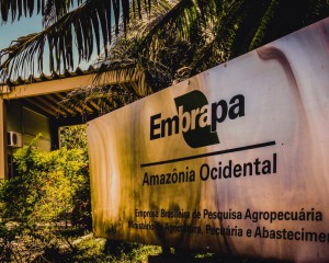Denúncia de assédio e falsificação de documentos na Embrapa