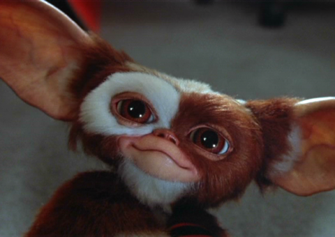 Gremlins podem voltar aos cinemas em sequência