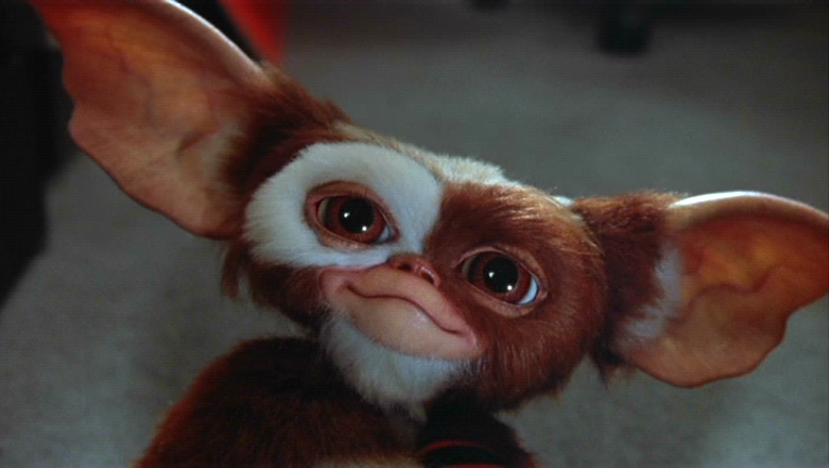 Gremlins podem voltar aos cinemas em sequência
