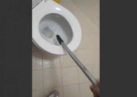 Mulher vai ao banheiro e o que ela encontra no vaso sanitário é chocante