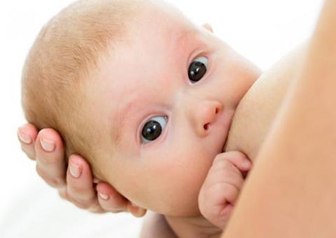 Leite materno ajuda no desenvolvimento cardíaco de prematuros