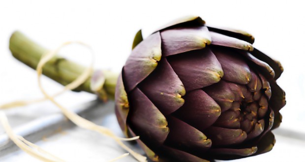 Poderosa como antioxidante, Alcachofra ajuda a combater ressaca