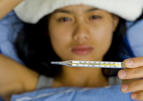 Conheça um forte aliado na cura da malária e problemas do coração