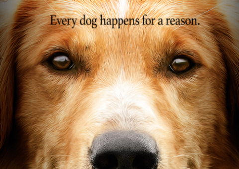 Quatro Vidas de um Cachorro ganha trailer emocionante. Confira