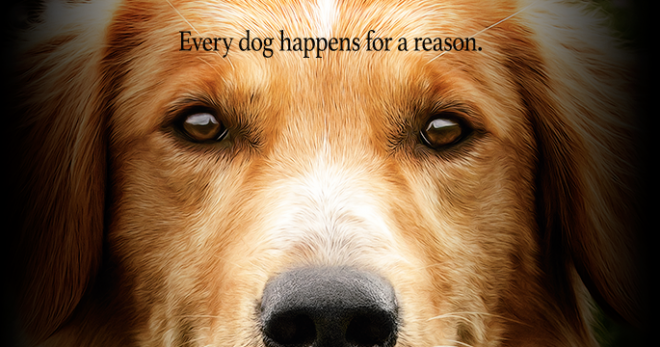 Quatro Vidas de um Cachorro ganha trailer emocionante. Confira