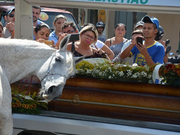  Cavalo comove família ao ‘se despedir’ de dono durante funeral