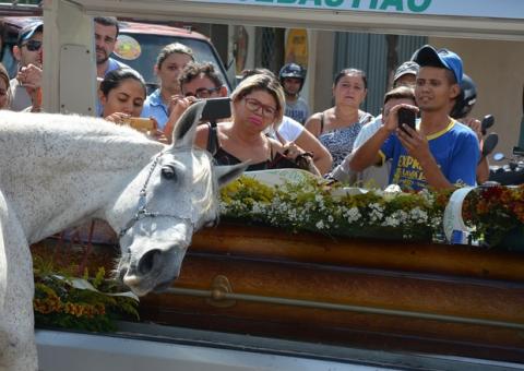 Cavalo comove família ao ‘se despedir’ de dono durante funeral