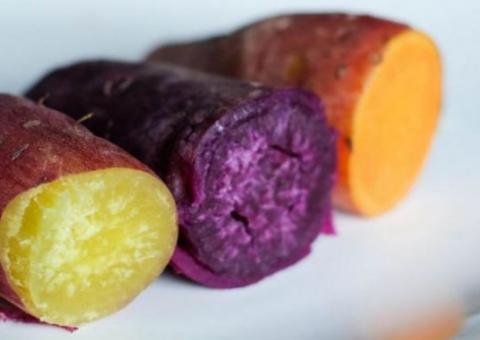 Mitos e Verdades sobre a Batata Doce, engorda ou emagrece?
