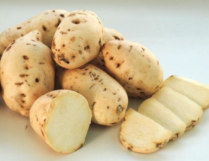 Mitos e Verdades sobre a Batata Doce, engorda ou emagrece?