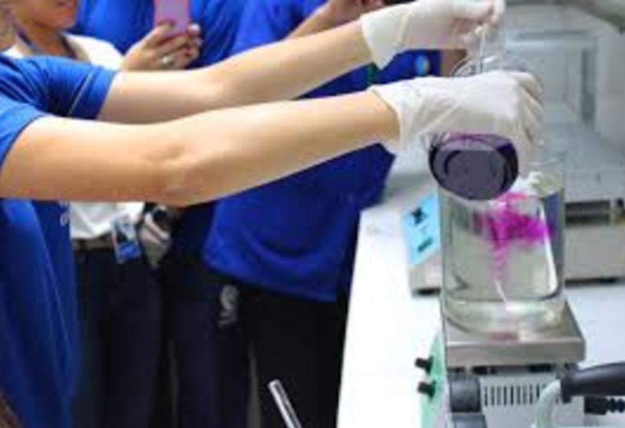 Pesquisa aponta que quase 97% dos bolsistas indicariam o Programa Bolsa Universidade