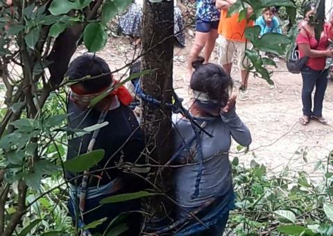 Mulher morre após ser amarrada em árvore com formigas venenosas