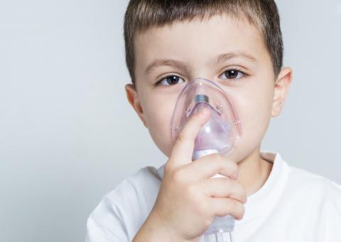 Imburana de Cheiro é uma forte aliada no combate de doenças pulmonares