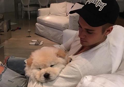 Justin Bieber abandona cachorro doente e causa revolta