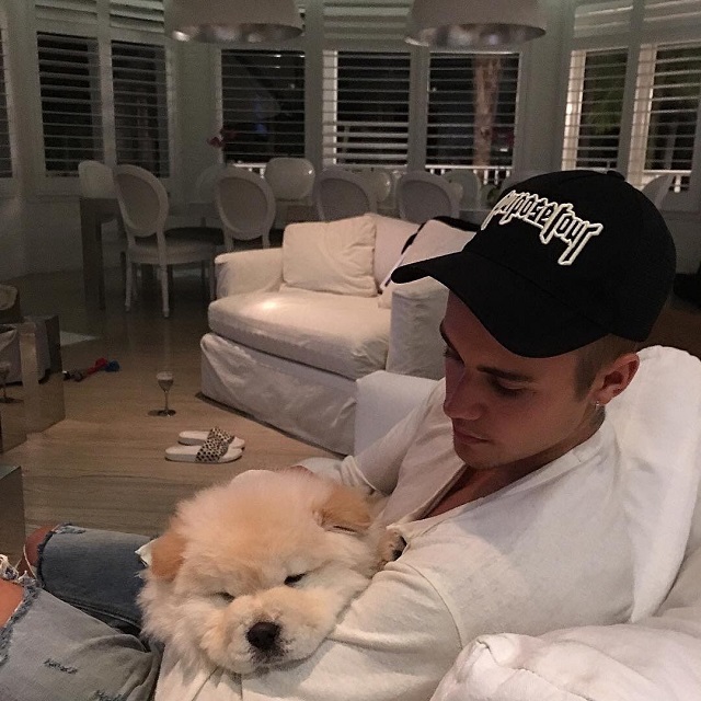 Justin Bieber abandona cachorro doente e causa revolta