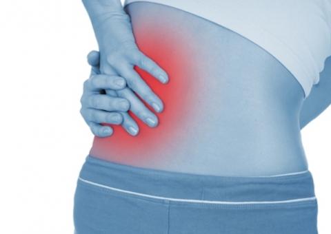 Conheça planta indicada para combater pedras nos rins