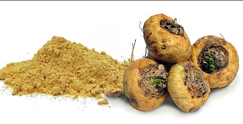 Fonte de vitaminas e fibras, erva ajuda na diminuição de peso