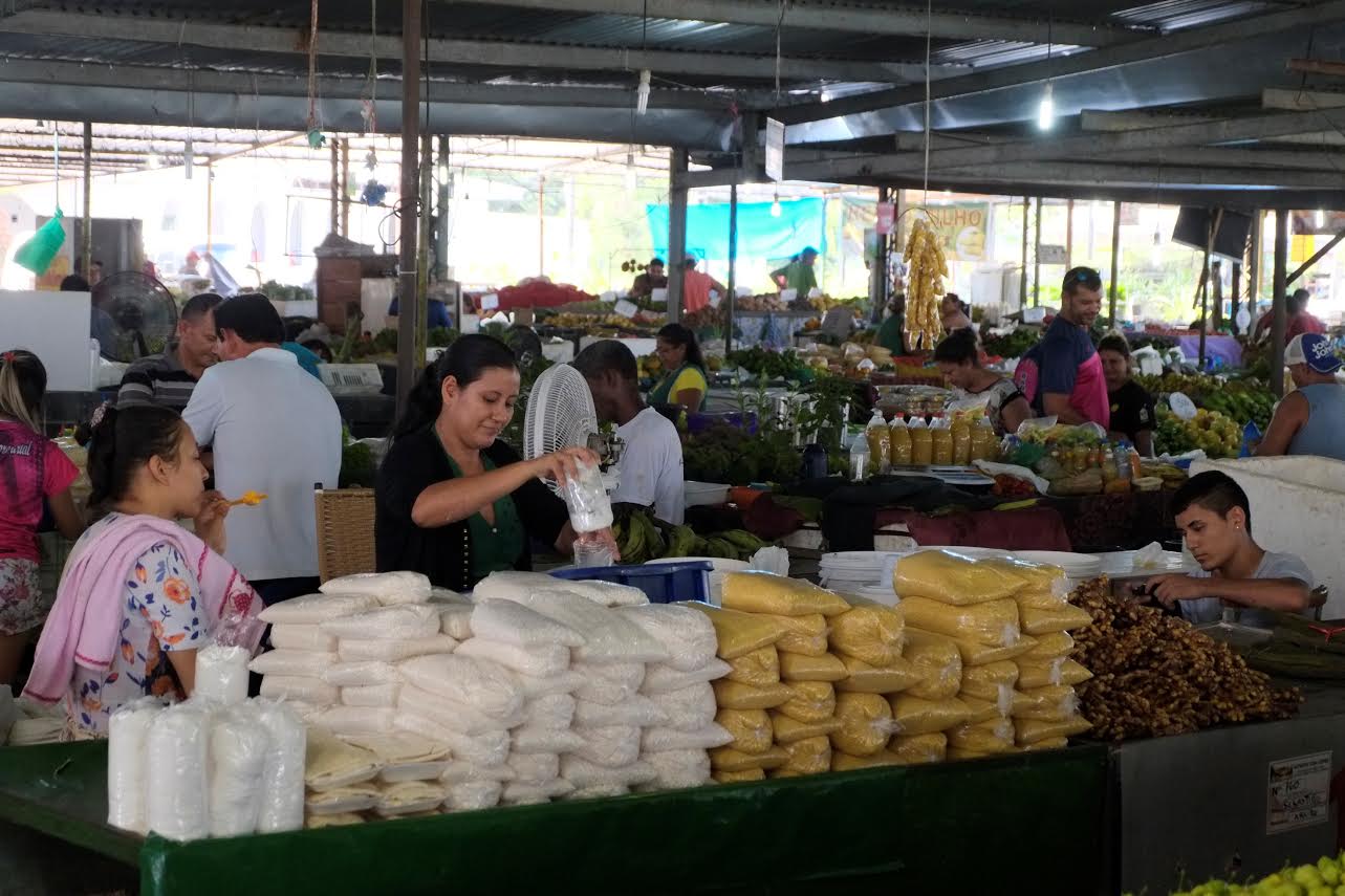 Sepror define atuações prioritárias para o setor primário e agropecuário 