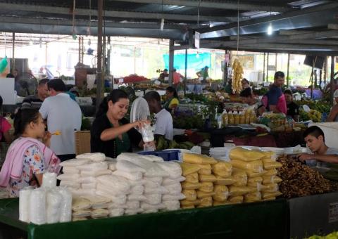 Sepror define atuações prioritárias para o setor primário e agropecuário 