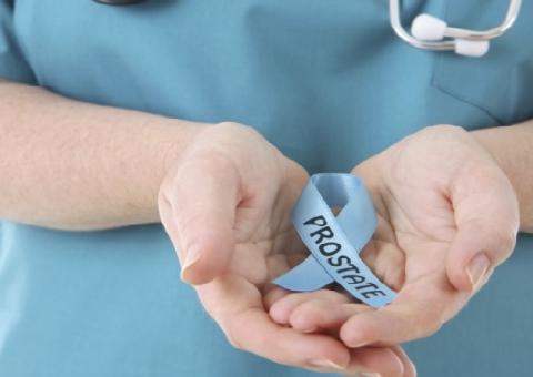 'Buva' é útil no tratamento contra inflamações na próstata e testículos