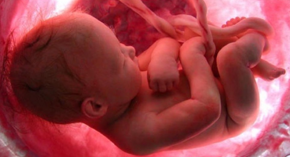 8 coisas que o bebê sente dentro da barriga da mãe