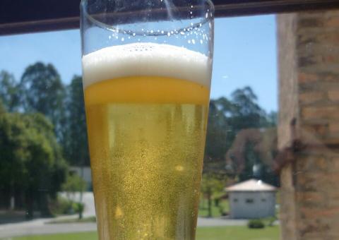  Faculdade de Manaus irá oferecer curso de produção de cerveja