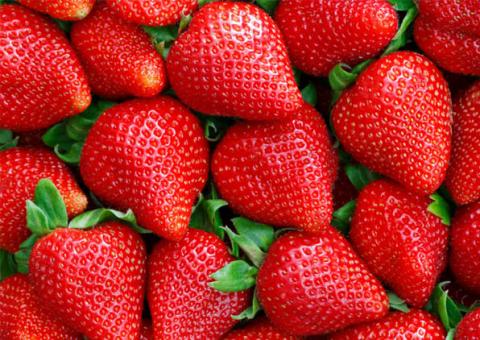 11 alimentos que fortalecem o sistema imunológico