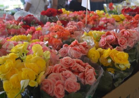 Manaus recebe Festival das Flores de Holambra nesta sexta-feira