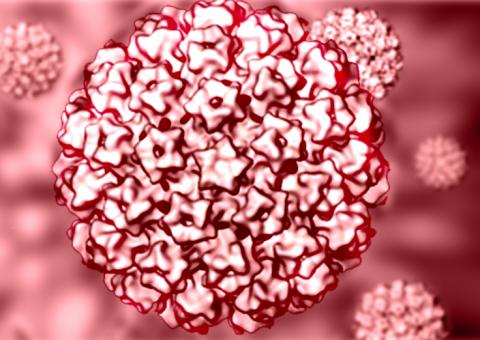 Profissionais de saúde são capacitados para atuarem em pesquisa sobre o HPV  