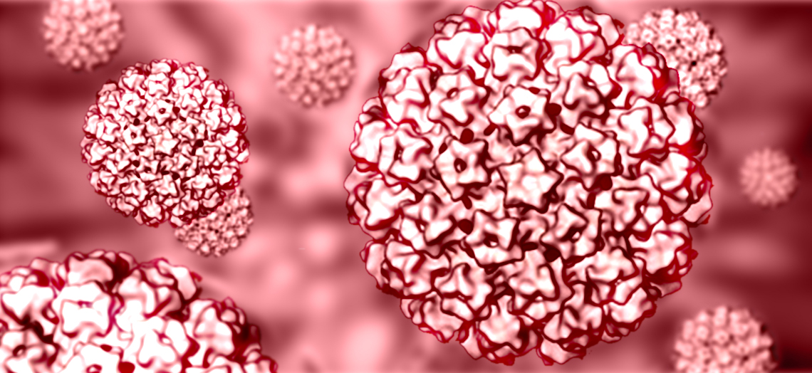 Profissionais de saúde são capacitados para atuarem em pesquisa sobre o HPV  