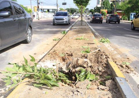 Motorista que perdeu controle do carro e atropelou plantas firma acordo para compensar dano