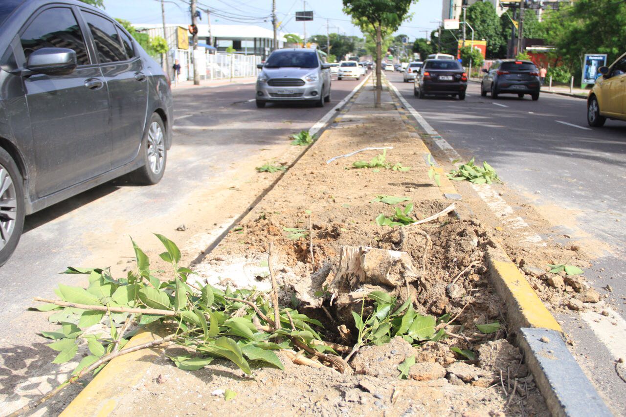Motorista que perdeu controle do carro e atropelou plantas firma acordo para compensar dano