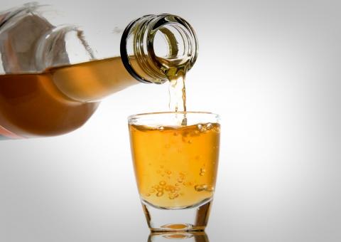 Planta usada para fazer cachaça pode ajudar na cura de úlceras crônicas