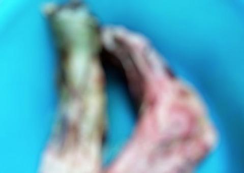   Restaurante de comida chinesa é acusado de servir pé humano para clientes