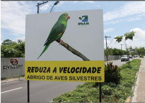 Periquitos voltam a ser encontrados mortos na Av. Ephigênio Salles