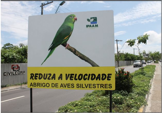 Periquitos voltam a ser encontrados mortos na Av. Ephigênio Salles