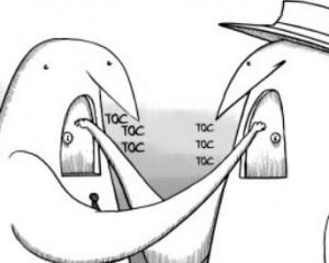 OAB-AM e governo erram ao alimentar polêmica