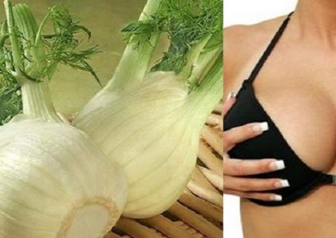 Conheça as plantas que aumentam os seios naturalmente