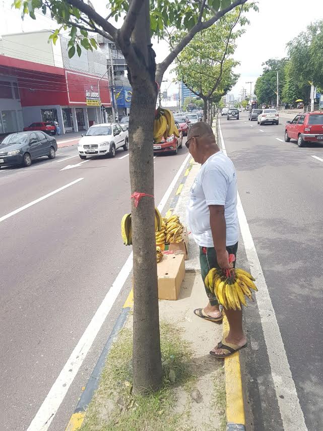 Vendedores ambulante são impedidos de usar árvores como suporte na Djalma Batista  