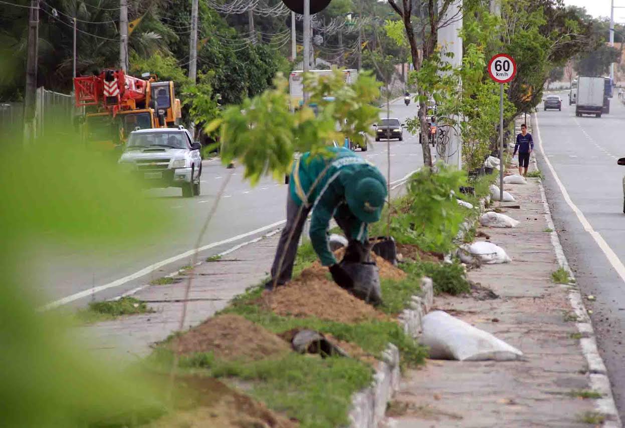  Arboriza Manaus intensifica manutenção de muda de plantas 
