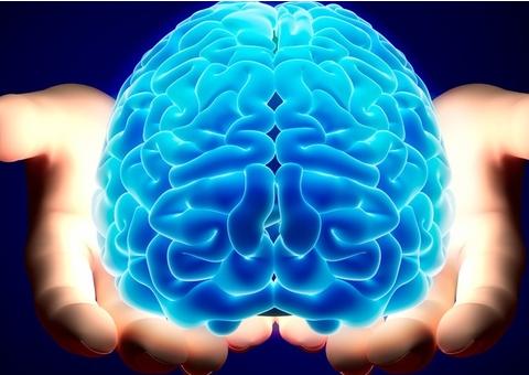 Parque Rio Negro será palco de programação voltada para a saúde mental