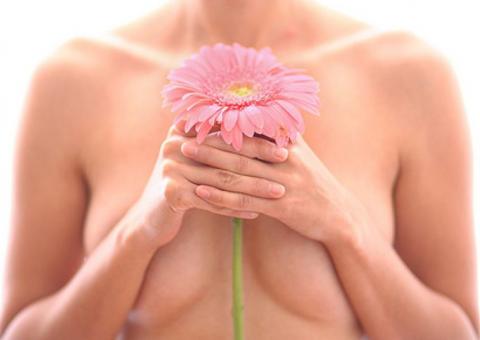 Erva com fortes propriedades ajuda no tratamento contra o câncer