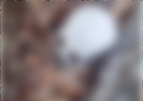 Polícia encontra ossada humana durante busca de foragidos em Manaus