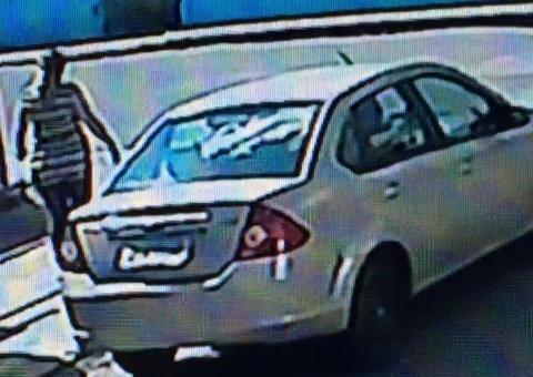 Cadelinha foge de casa e acaba sendo levada por mulher misteriosa em Manaus 