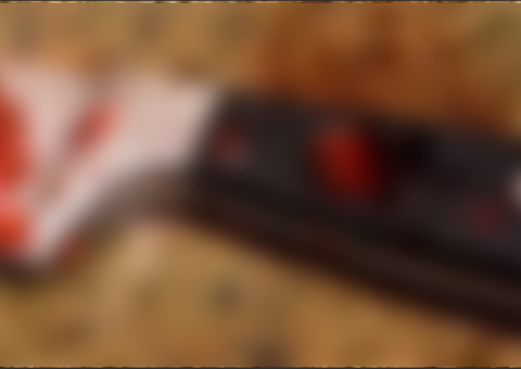 'Paula Fernandes' é morta com 10 facadas no AM