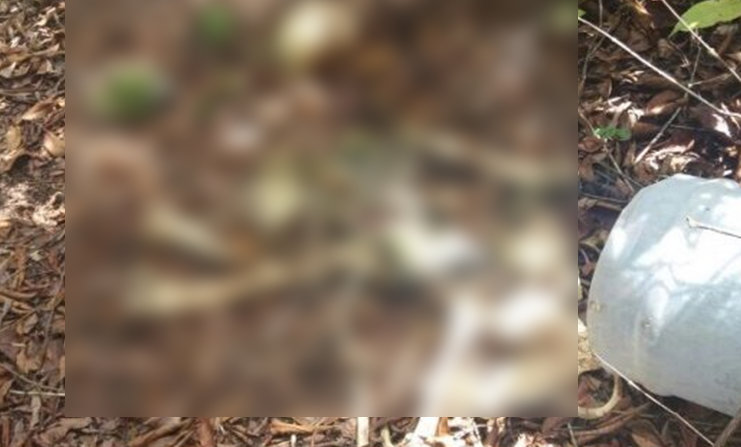 Ossada humana é encontrada dentro de garrafão em Manaus