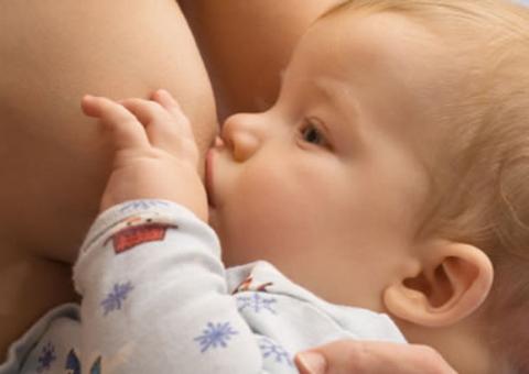 “Erva das mamas”, planta ajuda mulheres em fase de amamentação