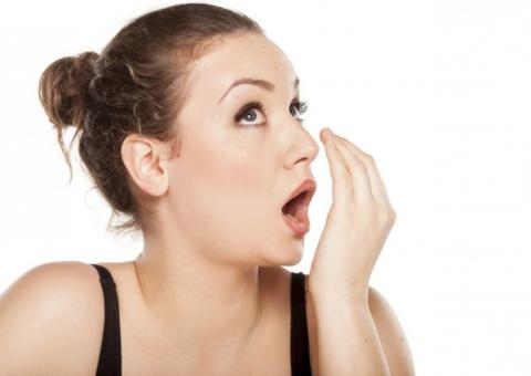 Com propriedades medicinais, erva é útil no combate ao mau hálito